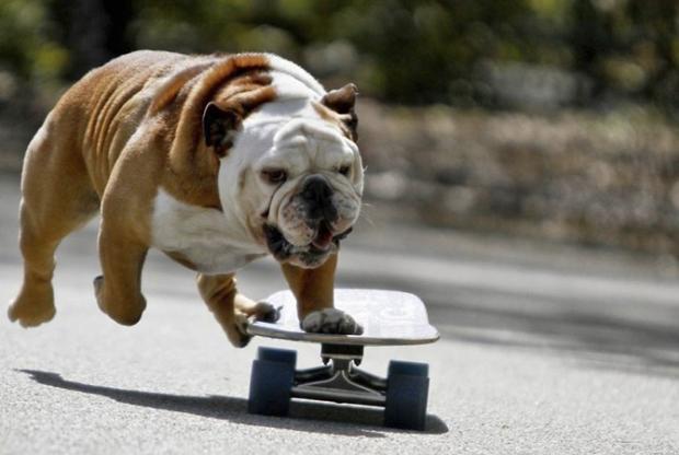 Фото: ki.ill.in.ua