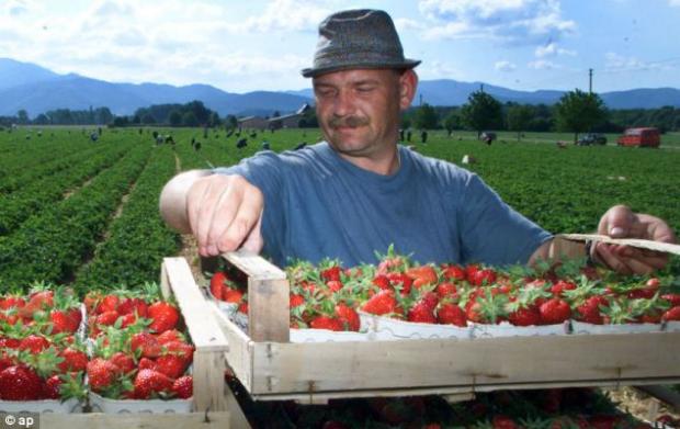 Зарбітчанин. Фото: 3dpicture-gif12.rhcloud.com