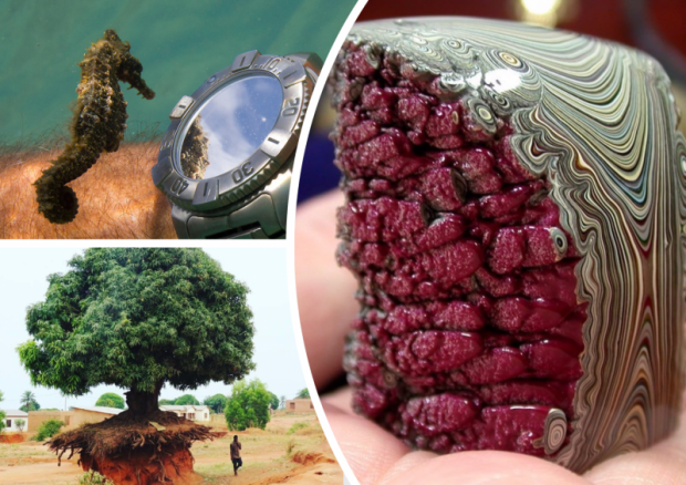 Фото: uainfo.org