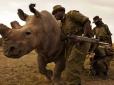 Останній в світі білий носорог зареєструвався на сайті знайомств