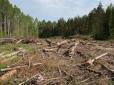 У минулому році в Україні знищили 19 500 га лісів
