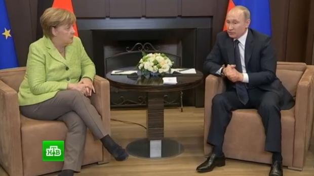 Зустріч Меркель і Путіна в Сочі. Фото:НТВ