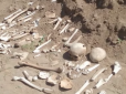 Моторошне видовище: У центрі Полтави розкидані кістки та черепи з порушених могил (відео)