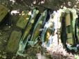 Збройова схованка з гранатометами знайдена у самісінькому Києві (фото)
