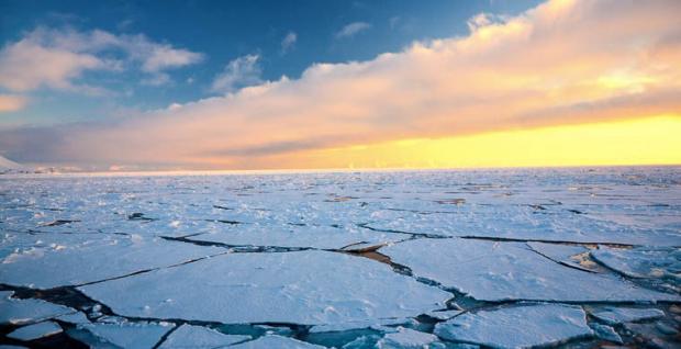 Арктика. Фото: Водный мир.