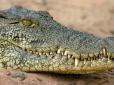 Цей пророк бракований, несіть іншого: У Зімбабве крокодили поласували пастором, який збирався пройти по воді