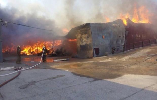 Гасіння пожежі під Києвом. Фото:прес-служба ДСНС