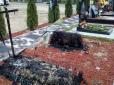 На кладовищі в Ірпіні горіли могили загиблих бійців АТО (фото)