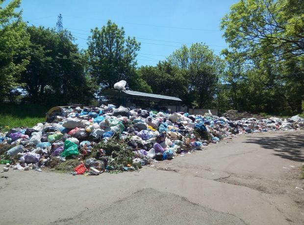 Львів страждає від сміття та щурів. Фото:Facebook