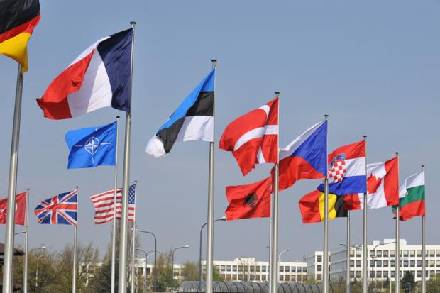 Сьогодні до Альянсу входить 29 країн. Фото: Nato.