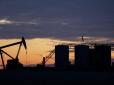 Сльози скреп: У Росії готуються до здешевлення нафти удвічі