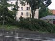 Наслідки негоди: У Кам'янець-Подільському потужна злива перетворила міст на водоспад (фото, відео)