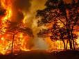 Масштабна пожежа в Чорнобилі: Горить близько 25 га лісу