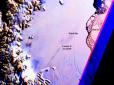 Розміром з півобласті: Від Антарктиди відколюються дедалі більші айсберги (відео)