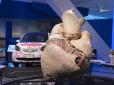 Двохсоткілограмове серце можна побачити у канадському музеї (відео)