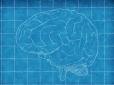 Вчені створили найбільш деталізоване об'ємне зображення мозку людини (відео)