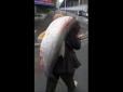У Азії зловили рибу розміром з людину