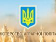 Українські аграрії ідуть у прорив: За темпами зростання може суперничати хіба IT-галузь