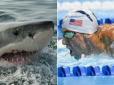 Біла акула прийняла виклик знаменитого пловця і перемогла (відео)