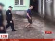 Живодер з Києва прив'язав кота до дерева за шию і бив його шлангом, за що отримав півроку в'язниці (відео)