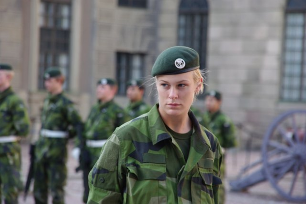 Шведські військові проведуть масштабні навчання. Фото: M24.ru.