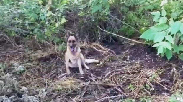 Собака знайшов місце, де був закопаний труп вбитого. Фото: Думська.