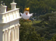 Із зачіскою Трампа: Біля Білого дому встановили незвичайне гігантське надувне курча (фото, відео)