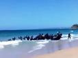 Зустріч цивілізацій: Пляж з шокованими євро туристами атакував човен з африканськими біженцями (відео)