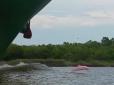 У США туристи зафільмували рідкісного рожевого дельфіна (відео)
