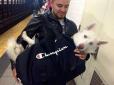 Смішні фото: Як жителі Нью-Йорка ховають своїх собак в метро