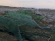 На Херсонщині спіймали  браконьєрів, які виловили крабів та креветок на п'ять мільйонів гривень (відео)