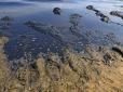 Екологічна катастрофа: Під Одесою пляж перетворився на смердюче болото (фото)