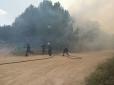 50 гектарів лісу запалали на Миколаївщині (фото)