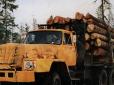 Жахлива ДТП: На Закарпатті вантажівка з лісом зірвалася у прірву