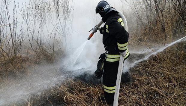 Пожежа під Волгоградом. Фото: ria.ru.