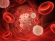 Науковці дійшли висновку, що у крові людини живе багато невідомих науці мікроорганізмів