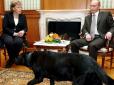 У Росії обурилися публікацією у німецькому журналі, в якій Путіна назвали собакою