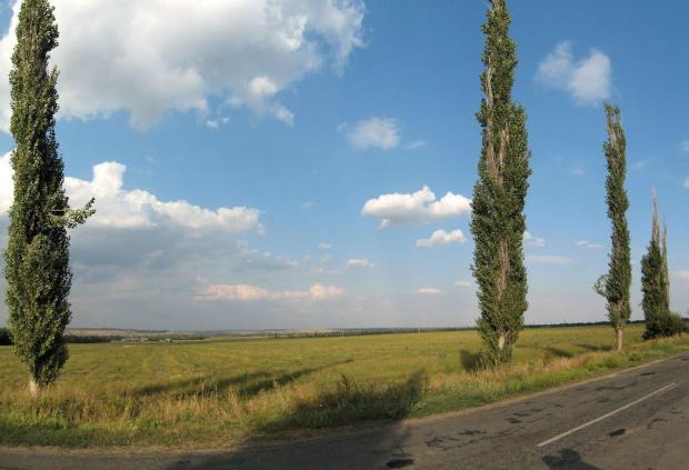 Поблизу села Тепле на Луганщині. Фото: 1ua.com.