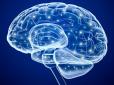 Науковці навчились з'єднувати напряму мозок з інтернетом