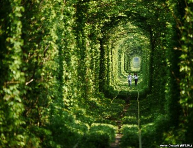 «Тунель кохання» – популярний туристичний об’єкт, розташований біля селища Клевань, що у Рівненської області