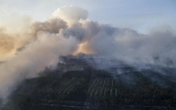 У Києві загорівся ліс на лівому березі Дніпра. Фото: ICTV.
