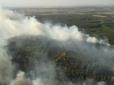 Масштабна лісова пожежа на Харківщині (фото)