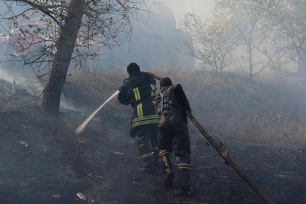 Пожежа у лісі на Полтавщині. Фото: прес-служба ДСНС.