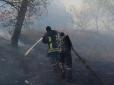 Людей довелося евакуювати: Полтавську область охопила сильна пожежа (фото, відео)