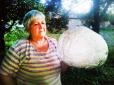 Рекордний гриб-дощовик знайдено на Буковині (фото)