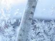 Хіти тижня. Дістанеться й Україні: Північній півкулі прогнозують найлютішу зиму за декілька сторіч