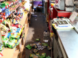 Нічні злодії: На Буковині два єноти розорили місцевий магазин (фото)