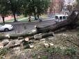 Повалені дерева і зірвані дахи: Львовом прокотився потужний буревій (відео)