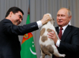 Хіти тижня. Цуценя шкода: У мережі підняли на сміх фото з подарунком Путіну від президента Туркменістану