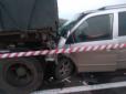 На Миколаївщині мікроавтобус зіткнувся з 